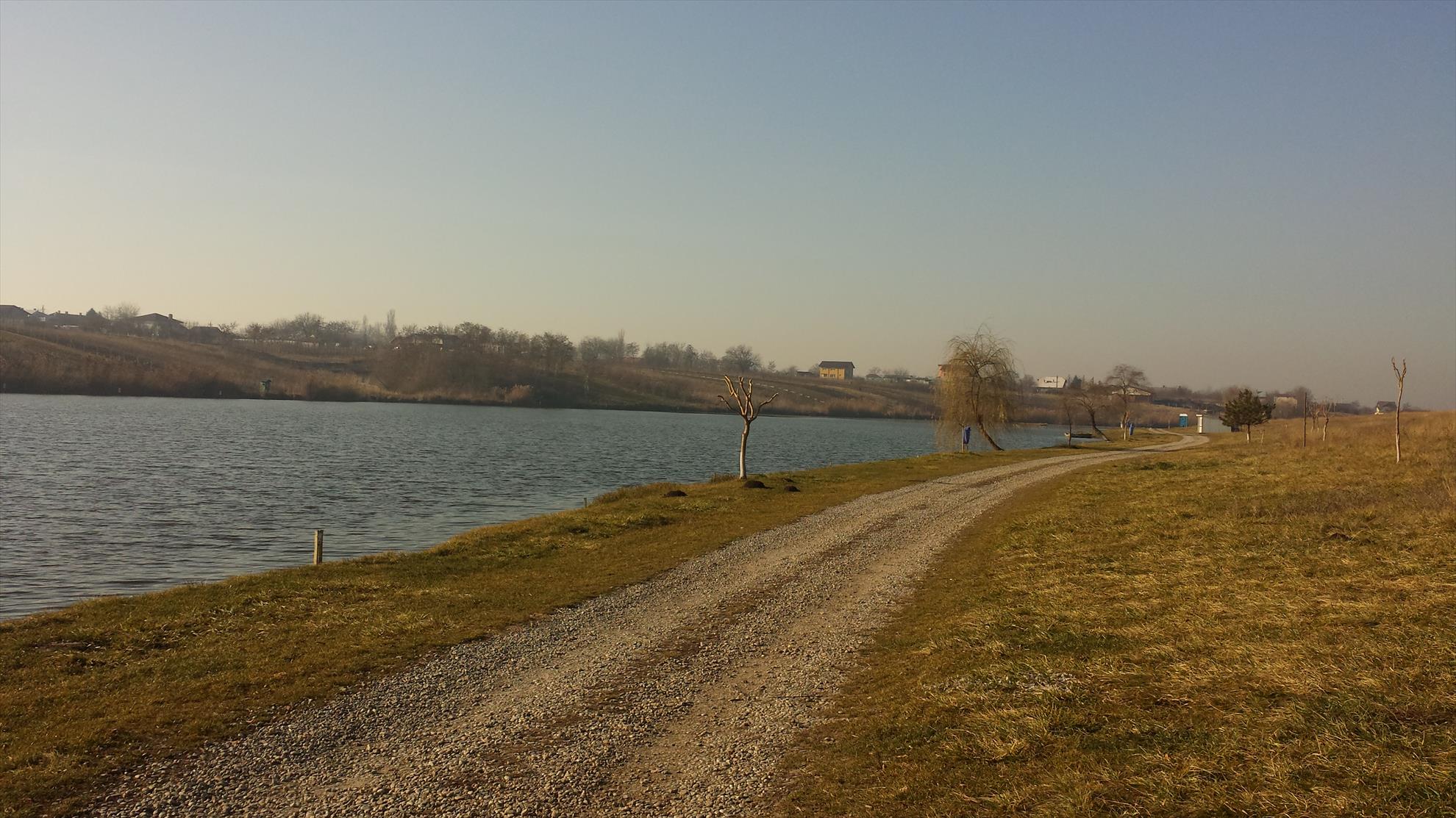 Moara Vlasiei 2 20 decembrie 2015 - 20151220111220.jpg